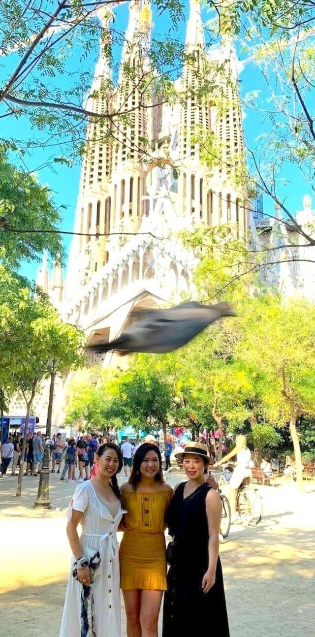 Bildschirmarbeiter - Picdump KW 50/2025