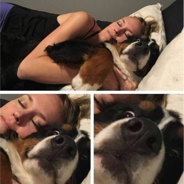 Bildschirmarbeiter - Picdump KW 50/2025