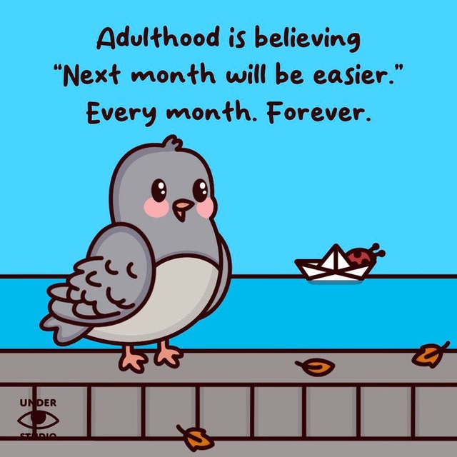 Bildschirmarbeiter - Picdump KW 50/2025