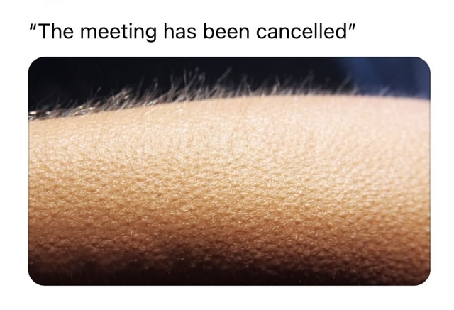 Bildschirmarbeiter - Picdump KW 50/2025