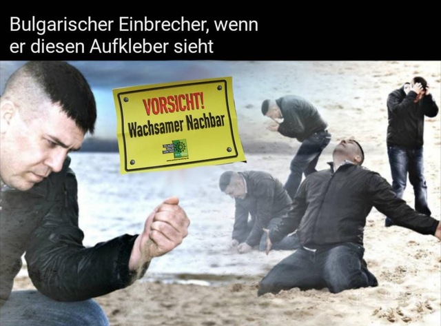 Bildschirmarbeiter - Picdump KW 50/2025