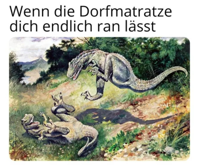 Bildschirmarbeiter - Picdump KW51 2020