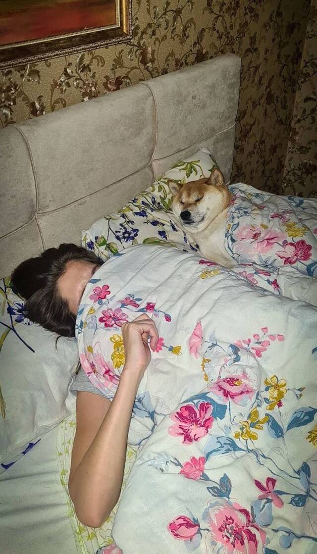 Bildschirmarbeiter - Picdump KW51 2020