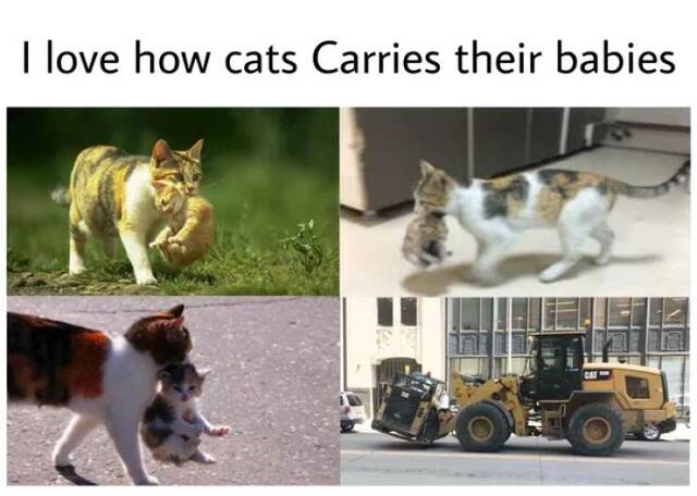 Bildschirmarbeiter - Picdump KW51 2020