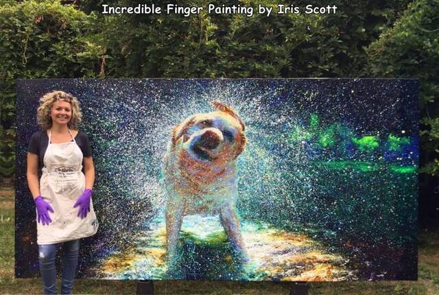 Bildschirmarbeiter - Picdump KW51 2020