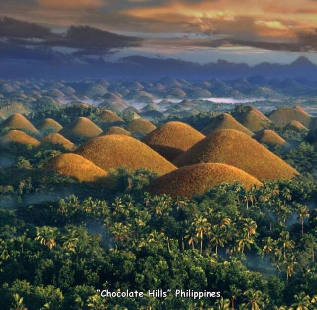 Bildschirmarbeiter - Picdump KW51 2020