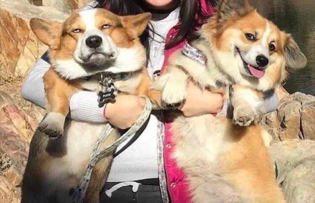 Bildschirmarbeiter - Picdump KW51 2020