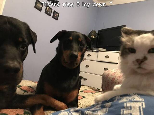 Nachschlag - Bildschirmarbeiter - Picdump KW51 2021