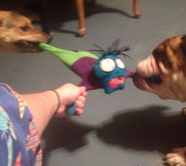 Nachschlag - Bildschirmarbeiter - Picdump KW51 2021