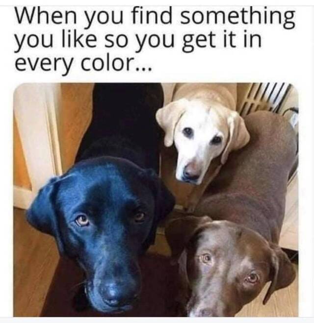 Nachschlag - Bildschirmarbeiter - Picdump KW51 2021