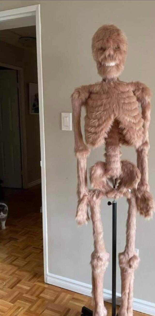 Nachschlag - Bildschirmarbeiter - Picdump KW51 2021