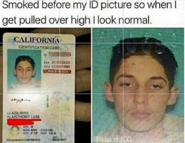 Nachschlag - Bildschirmarbeiter - Picdump KW51 2021