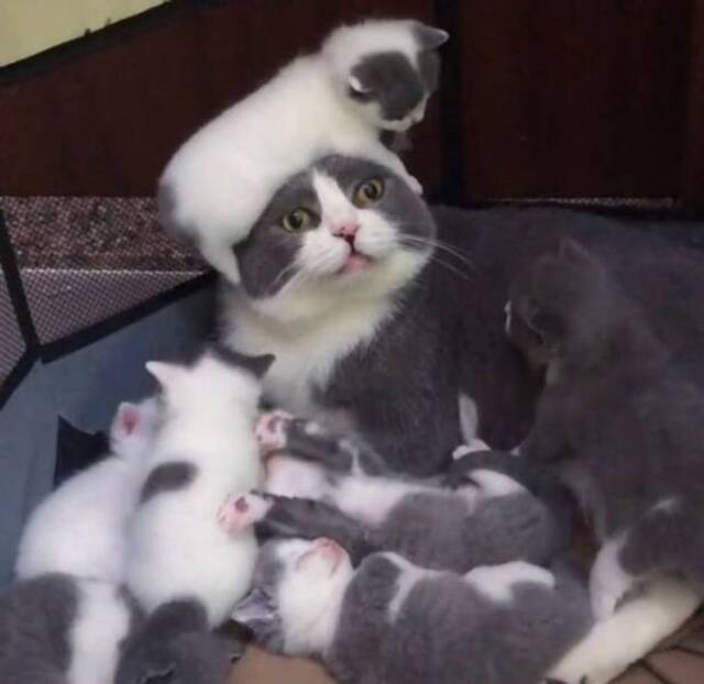 Nachschlag - Bildschirmarbeiter - Picdump KW51 2021