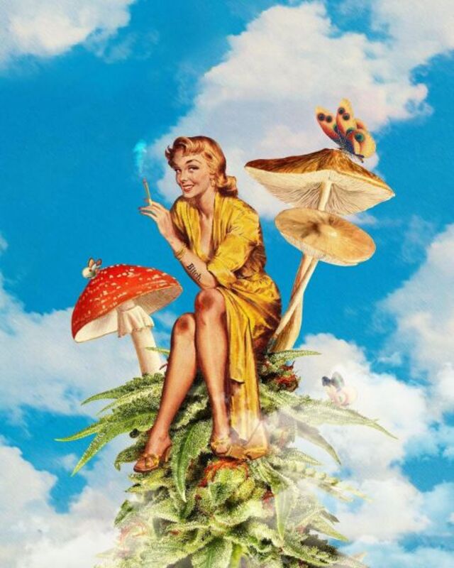 Nachschlag - Bildschirmarbeiter - Picdump KW51 2021