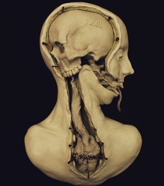 Nachschlag - Bildschirmarbeiter - Picdump KW51 2021