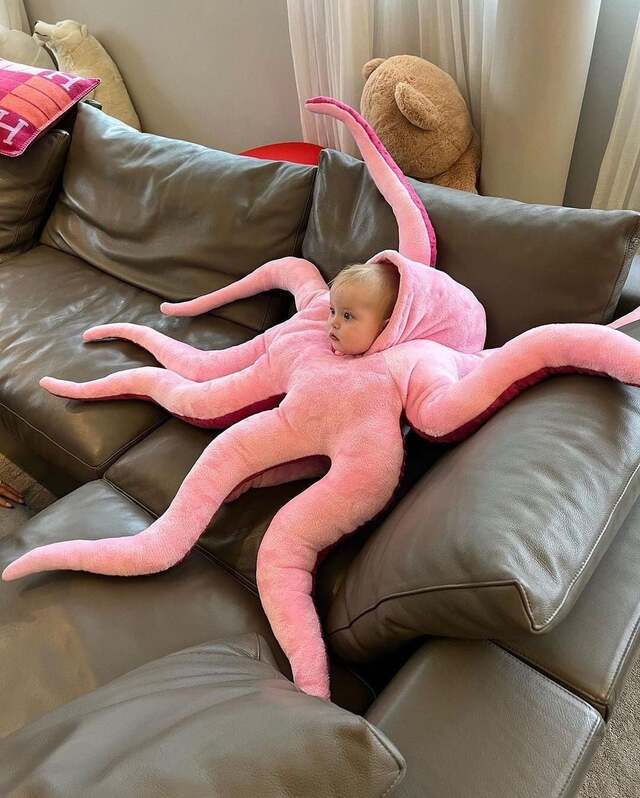 Bildschirmarbeiter - Picdump KW51 2021