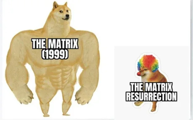 Bildschirmarbeiter - Picdump KW51 2021