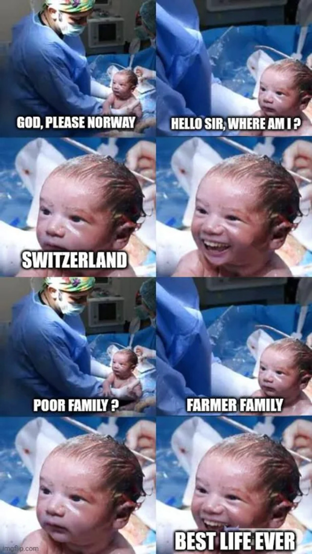 Bildschirmarbeiter - Picdump KW51 2021