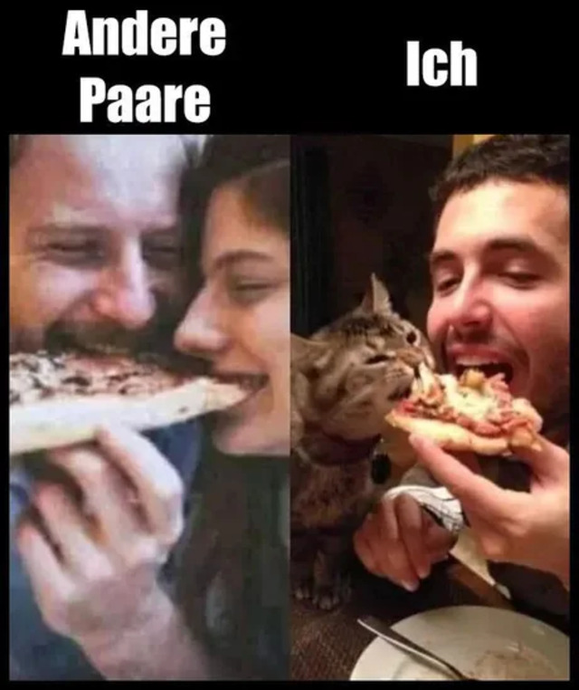 Bildschirmarbeiter - Picdump KW51 2021