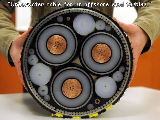 Bildschirmarbeiter - Picdump KW51 2021