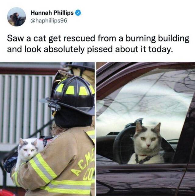 Bildschirmarbeiter - Picdump KW51 2021