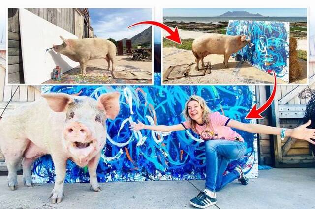 Bildschirmarbeiter - Picdump KW51 2021