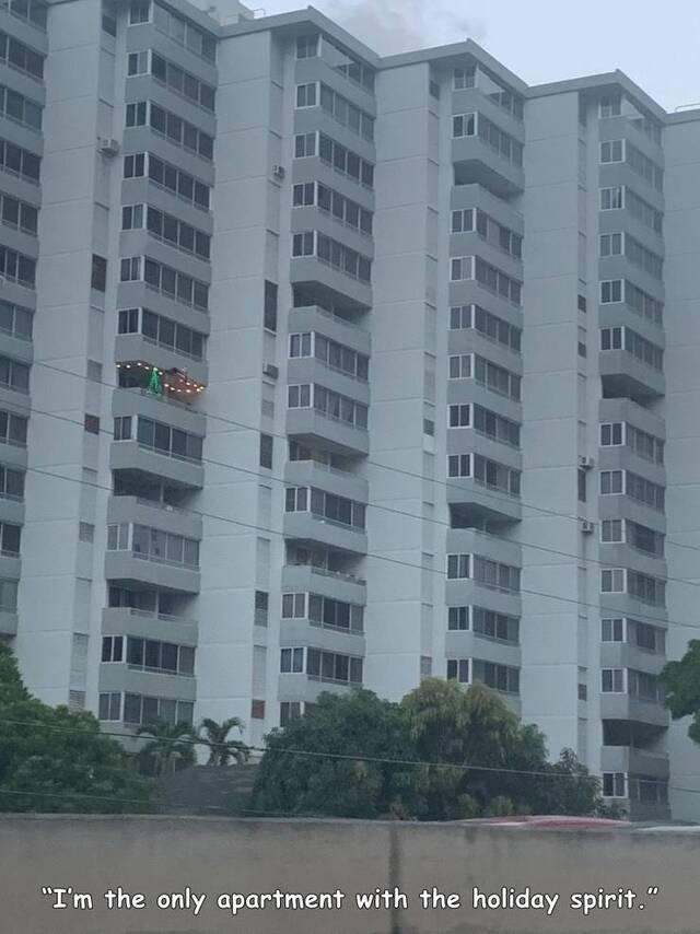 Bildschirmarbeiter - Picdump KW51 2021