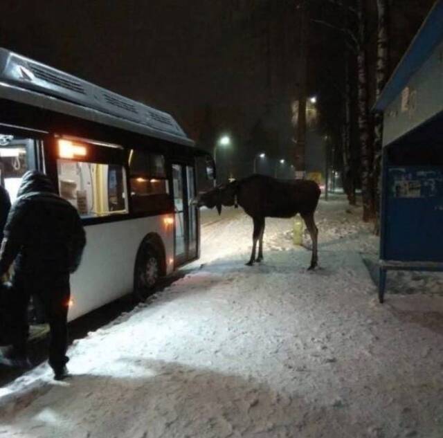 Bildschirmarbeiter - Picdump KW51 2021