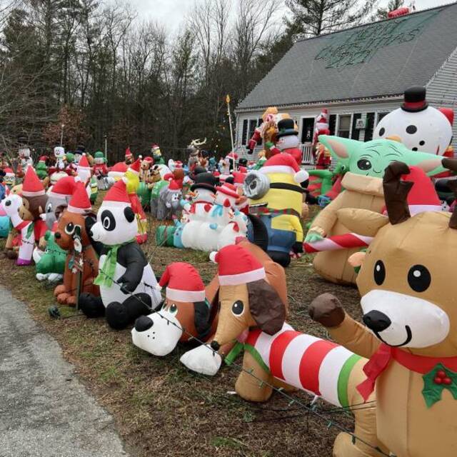 Bildschirmarbeiter - Picdump KW51 2021