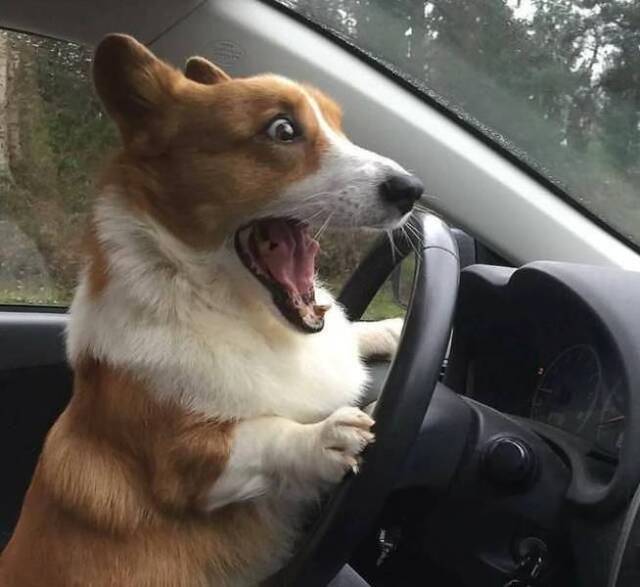 Bildschirmarbeiter - Picdump KW51 2021