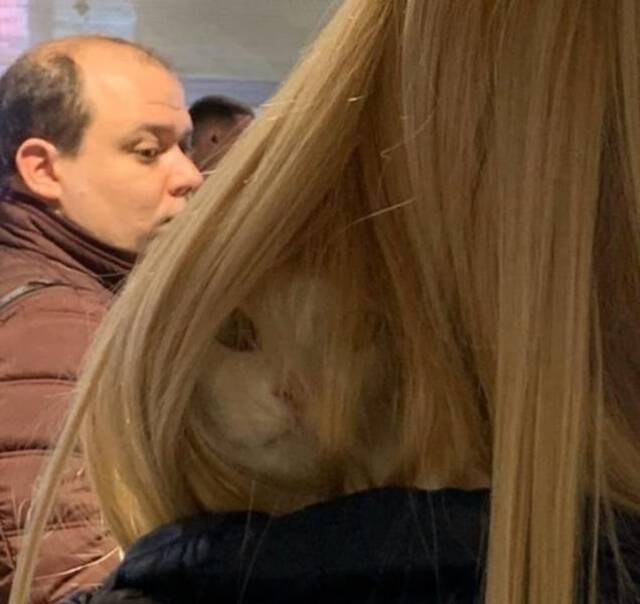 Bildschirmarbeiter - Picdump KW51 2021