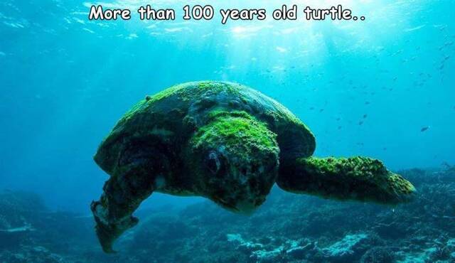 Bildschirmarbeiter - Picdump KW51 2021