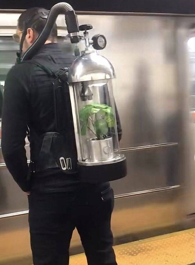 Bildschirmarbeiter - Picdump KW51 2021