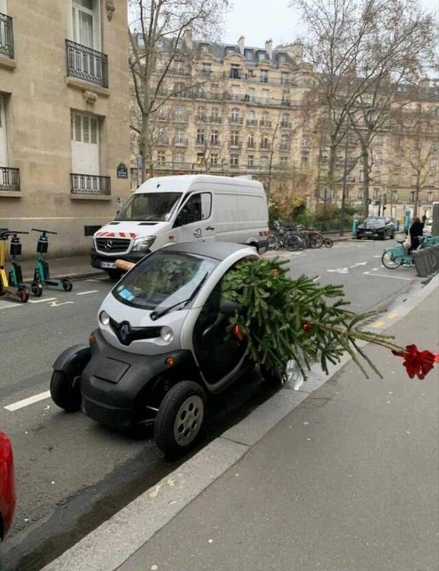 Bildschirmarbeiter - Picdump KW51 2021