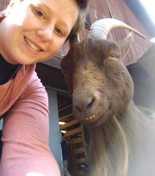 Bildschirmarbeiter - Picdump KW51 2021