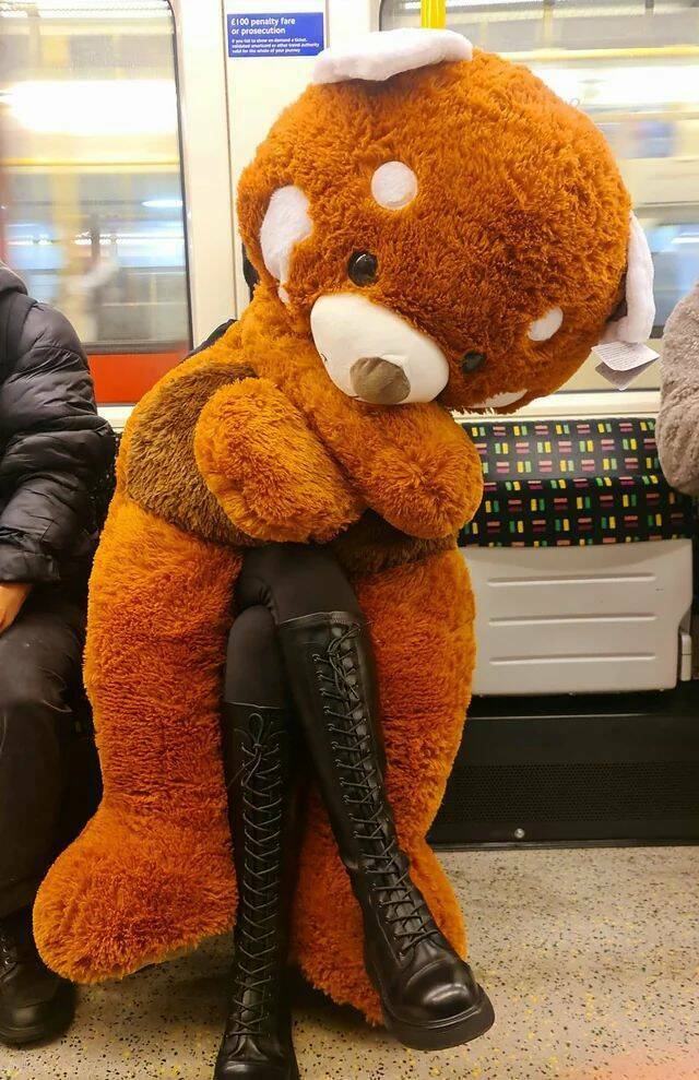 Nachschlag - Bildschirmarbeiter - Picdump KW 51/2024