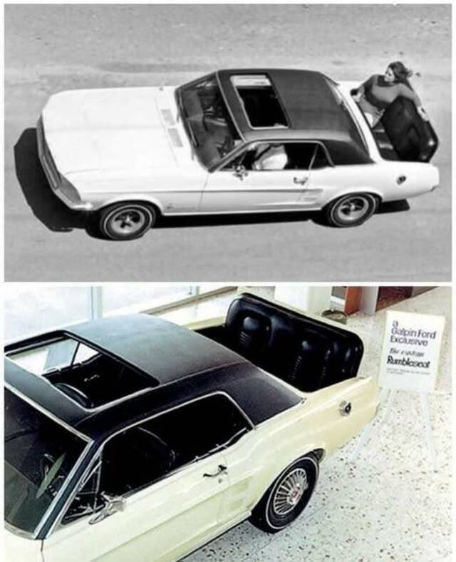 Nachschlag - Bildschirmarbeiter - Picdump KW 51/2024