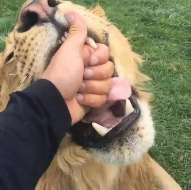 Nachschlag - Bildschirmarbeiter - Picdump KW 51/2024