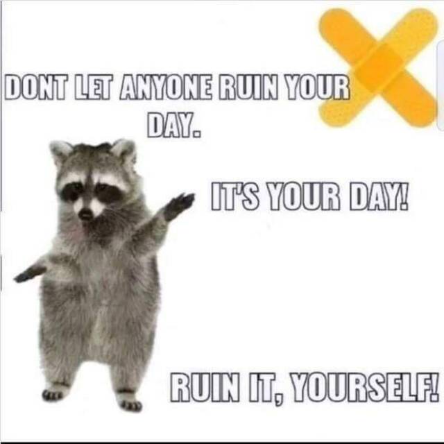 Nachschlag - Bildschirmarbeiter - Picdump KW 51/2024