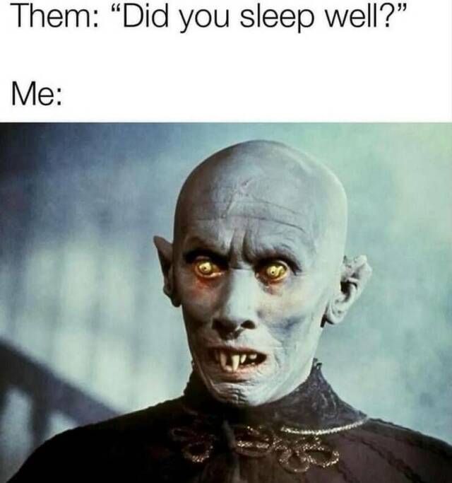 Nachschlag - Bildschirmarbeiter - Picdump KW 51/2024