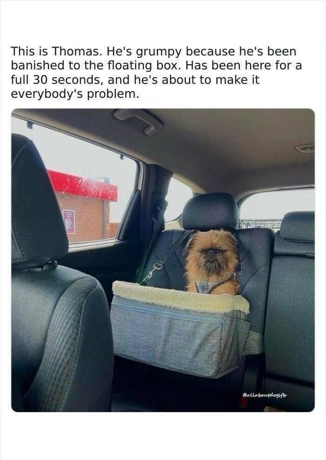 Nachschlag - Bildschirmarbeiter - Picdump KW 51/2024