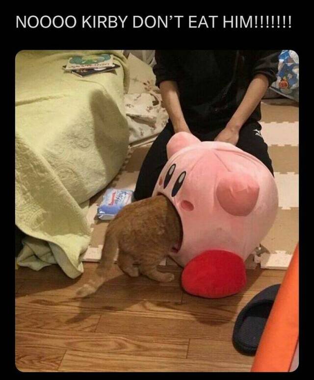 Nachschlag - Bildschirmarbeiter - Picdump KW 51/2024