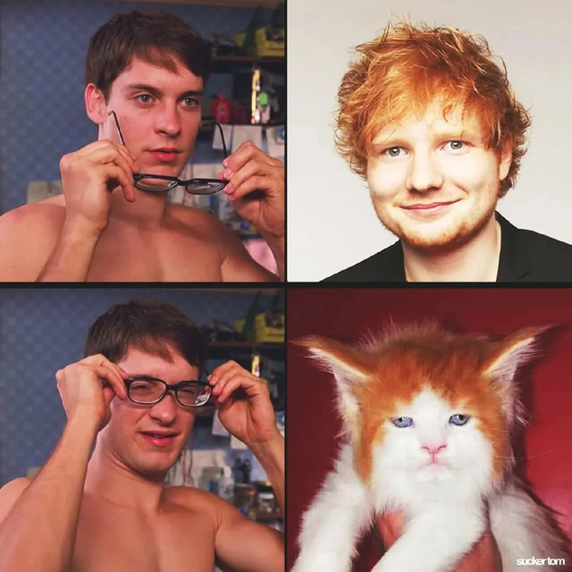 Nachschlag - Bildschirmarbeiter - Picdump KW 51/2024