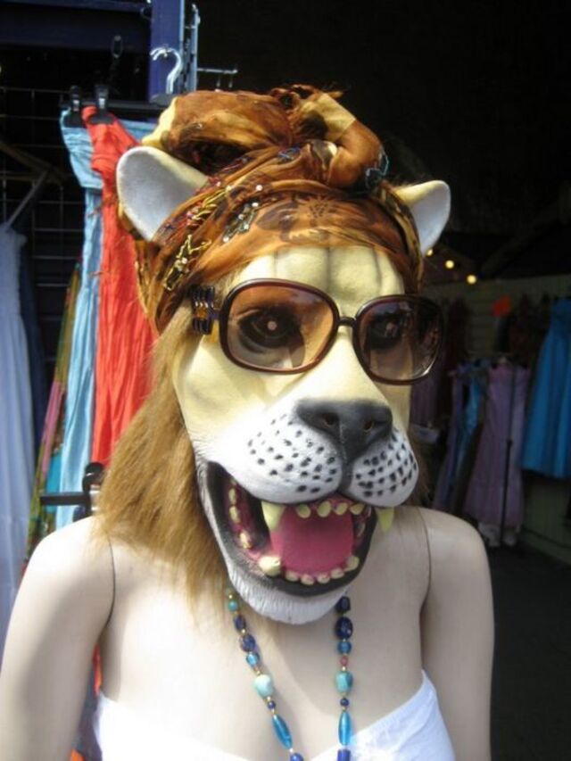 Bildschirmarbeiter - Picdump KW 51/2025