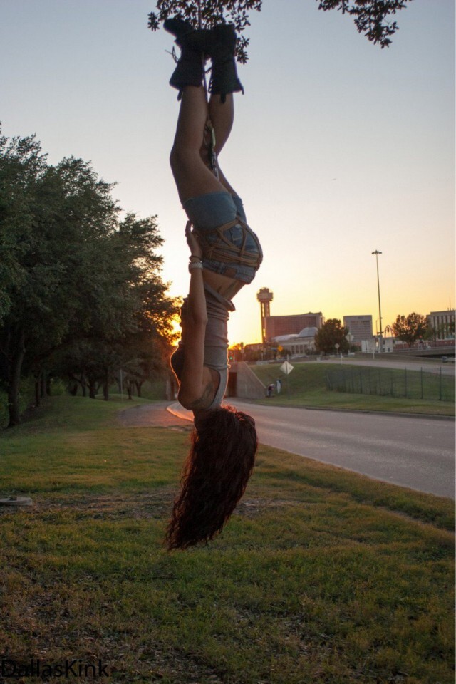 Bildschirmarbeiter - Picdump KW 51/2025