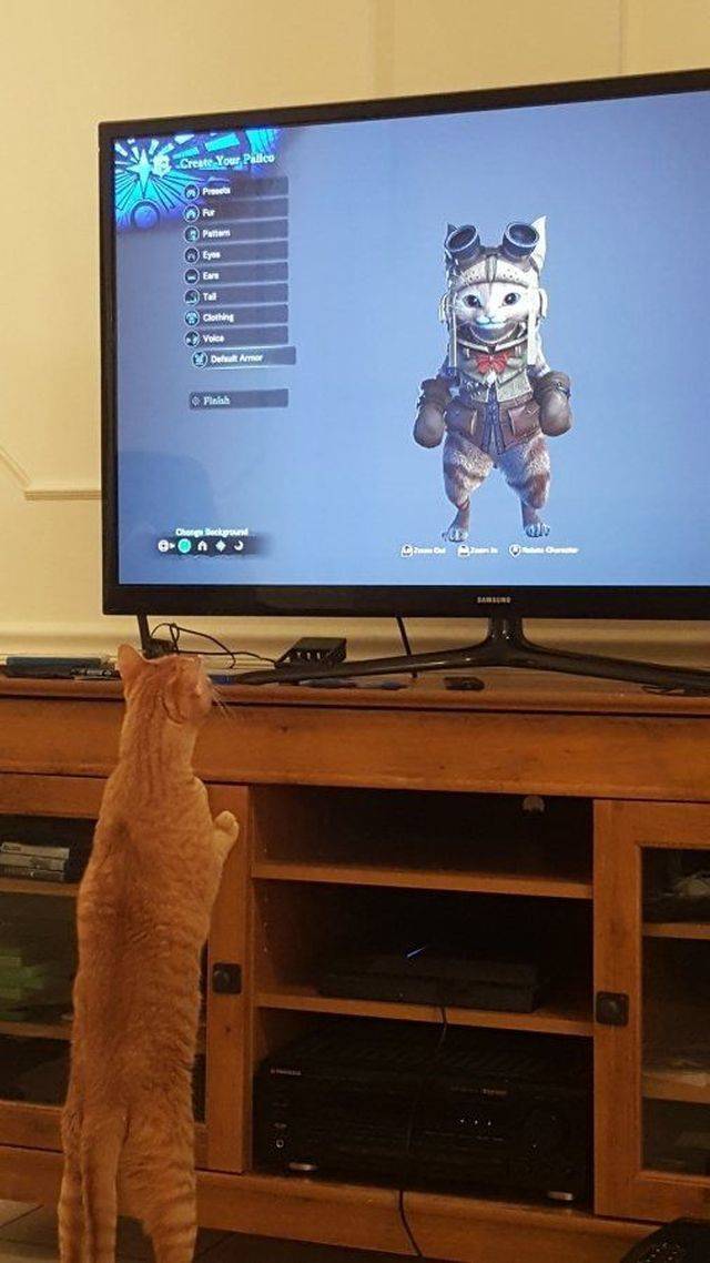 Bildschirmarbeiter - Picdump KW 51/2025