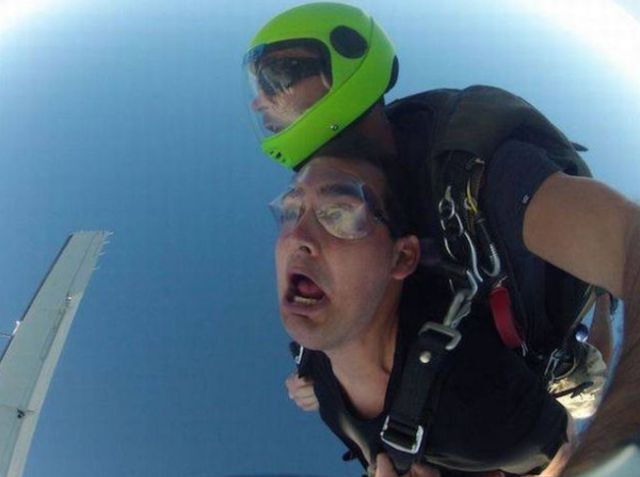 Bildschirmarbeiter - Picdump KW 51/2025