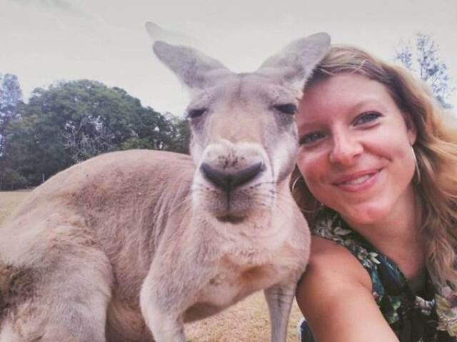 Bildschirmarbeiter - Picdump KW 51/2025