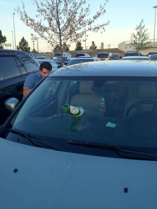 Bildschirmarbeiter - Picdump KW 51/2025