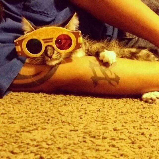 Bildschirmarbeiter - Picdump KW 51/2025